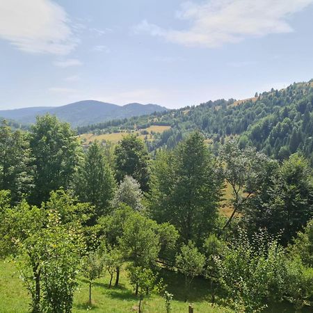 Apuseni Holidays Rachitele Esterno foto