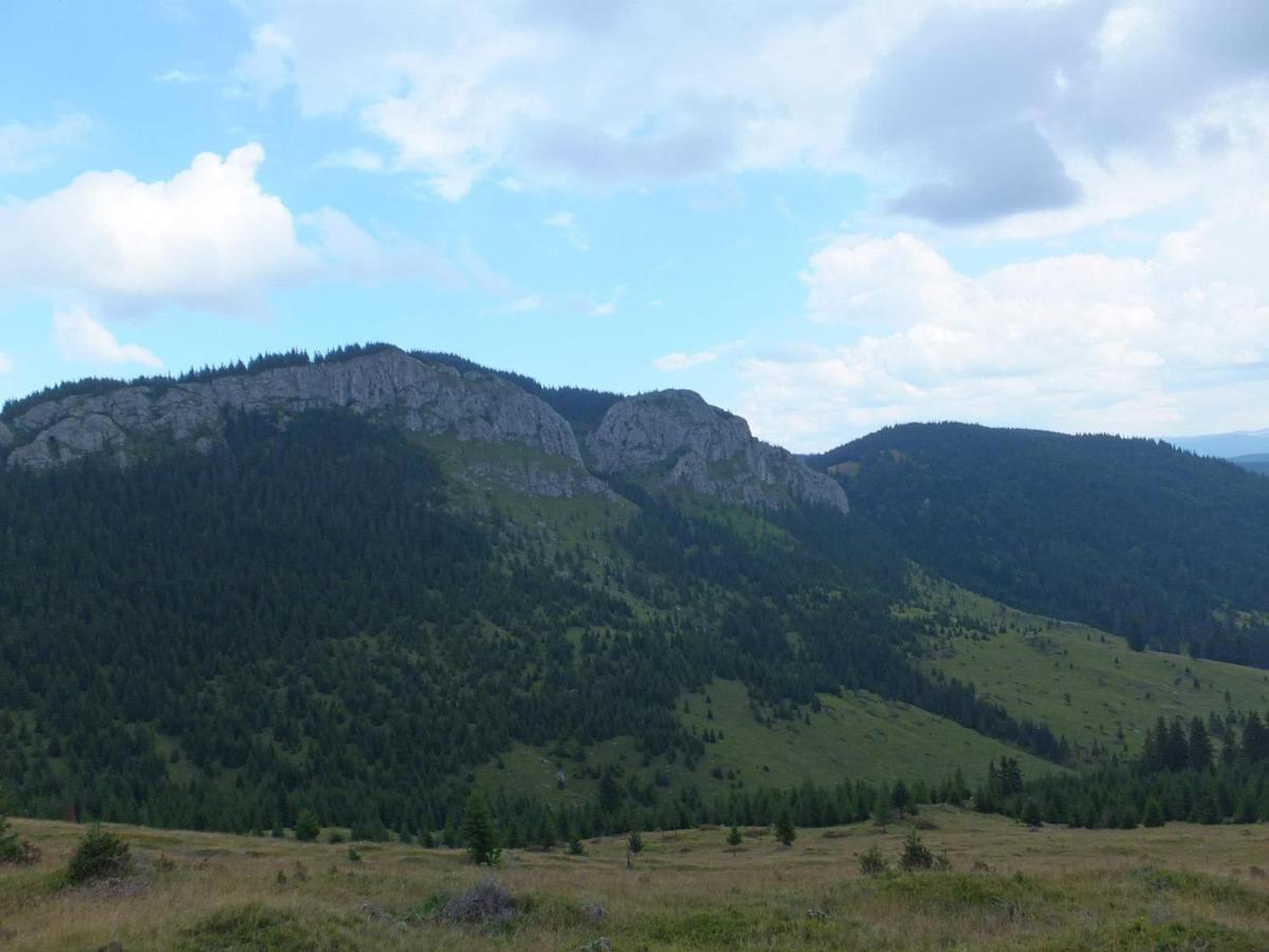 Apuseni Holidays Rachitele Esterno foto